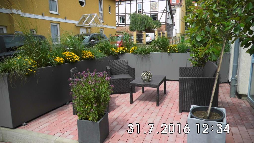 Harz Cottage Bad Lauterberg Dış mekan fotoğraf